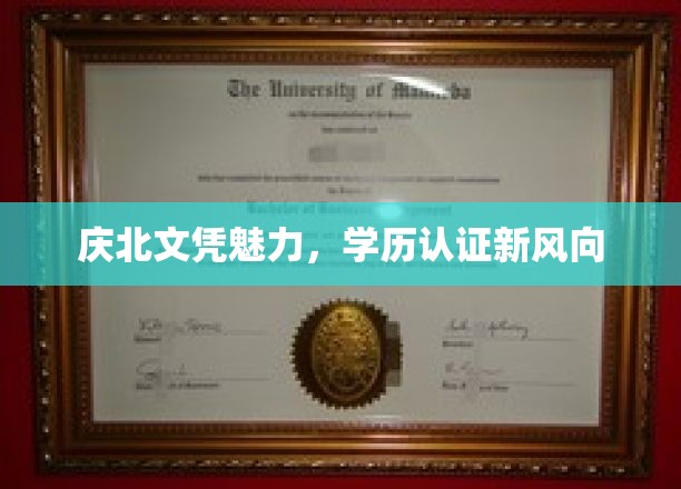 庆北文凭风潮来袭，学历认证新潮流解码