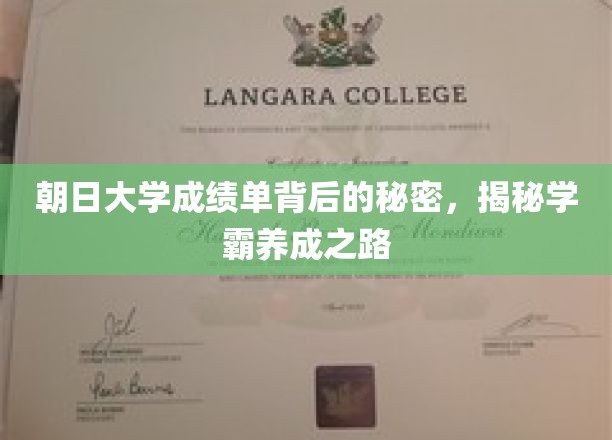 朝日大学成绩单背后的秘密，揭秘学霸养成之路