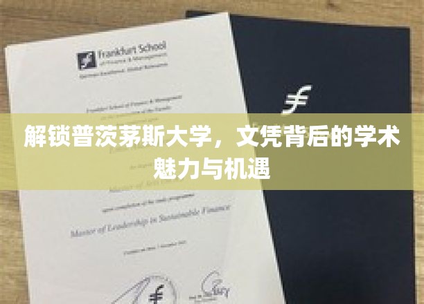 解锁普茨茅斯大学，文凭背后的学术魅力与机遇
