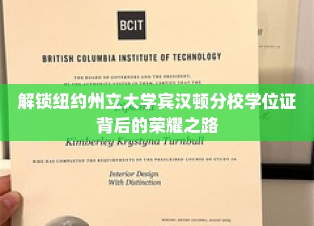 探寻纽约州立大学宾汉顿分校学子成就的辉煌征程