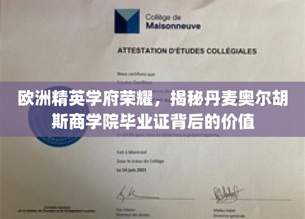 欧洲精英学府荣耀，揭秘丹麦奥尔胡斯商学院毕业证背后的价值