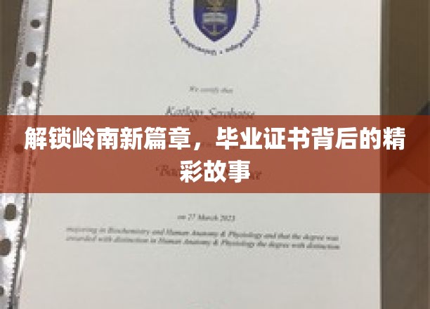 岭南学子逐梦行，证书背后蕴藏青春传奇