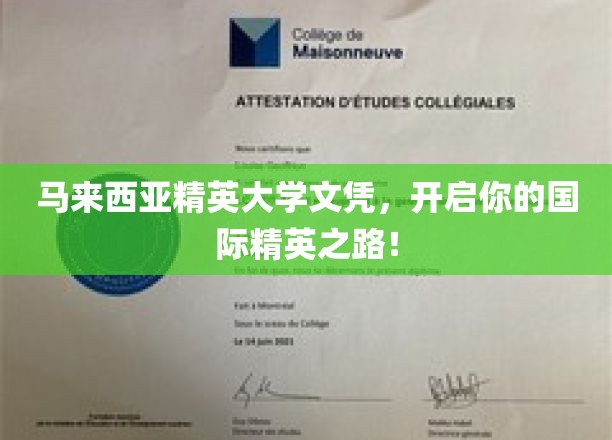 跨越国界，精英大学文凭助你开启全球职场新篇章！