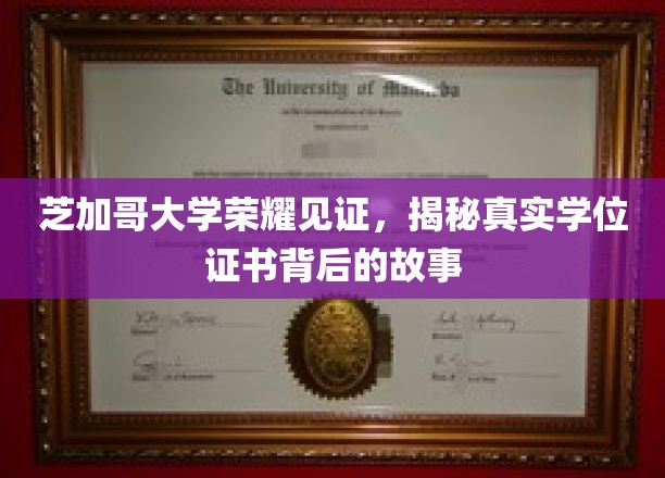 芝加哥大学荣耀见证，揭秘真实学位证书背后的故事