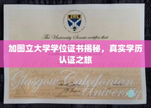 加图立大学学位证书揭秘，真实学历认证之旅