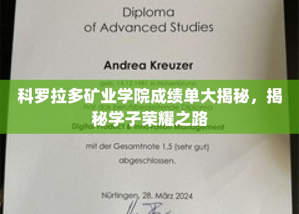 科罗拉多矿业学院学霸档案，探寻学子辉煌背后的秘密