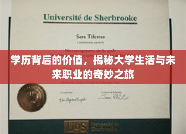 探索学历真谛，大学生活与职业发展的不凡旅程