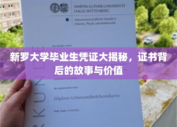 揭开新罗大学毕业证书的神秘面纱，探寻其背后的传奇故事与珍贵价值
