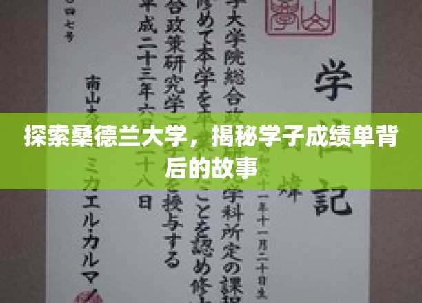 解码桑德兰学子成就，成绩单背后的成长轨迹