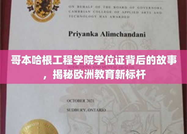 哥本哈根工程学院学位证，探寻欧洲教育新高峰的神秘面纱