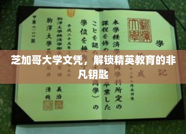 芝加哥大学学位，开启精英殿堂的秘密之门