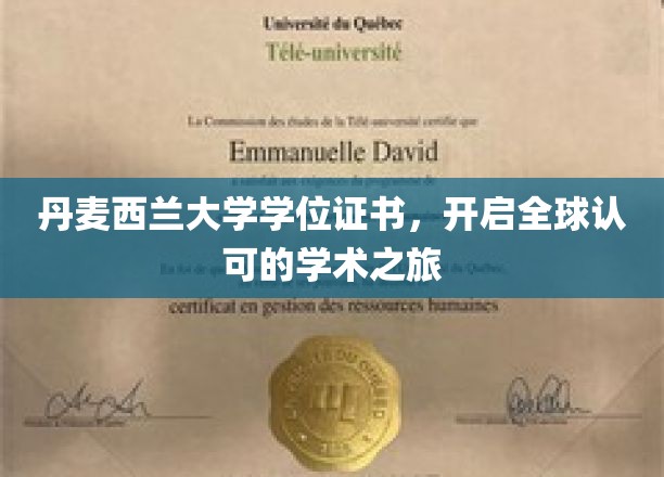 丹麦西兰大学学位，引领国际化学术新篇章