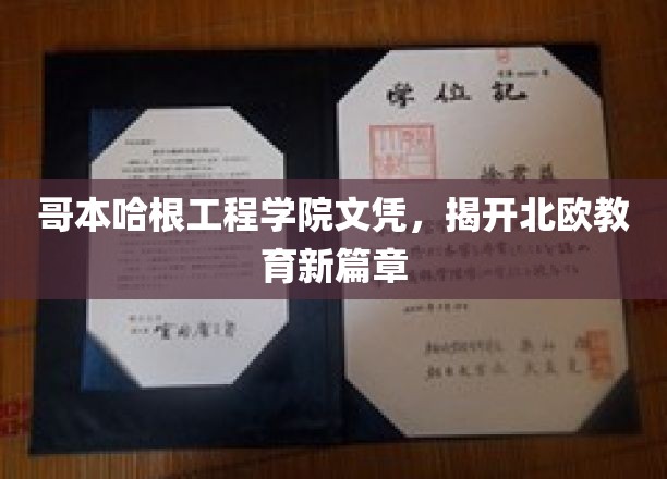 哥本哈根工程学院文凭，揭开北欧教育新篇章