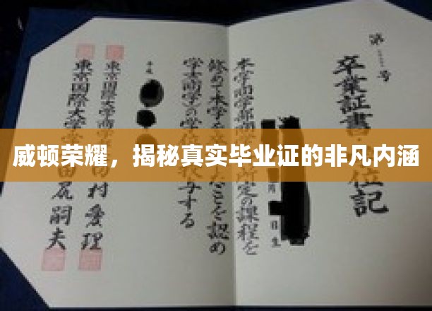 威顿荣耀证书背后的秘密，毕业证背后的非凡价值揭晓