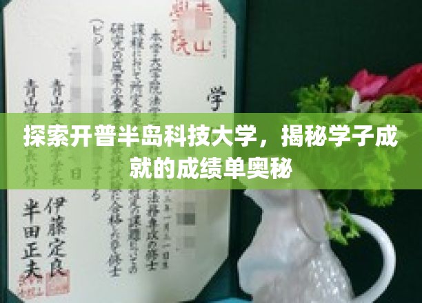 探索开普半岛科技大学，揭秘学子成就的成绩单奥秘