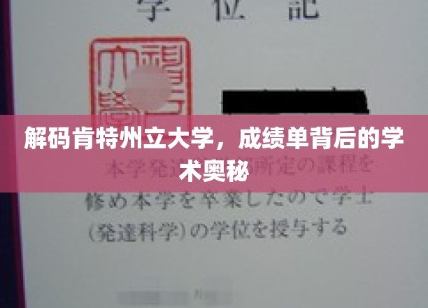 探秘肯特州立大学，揭秘成绩单背后的学术世界