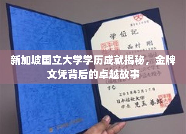 解码新加坡国立大学荣耀，金牌文凭背后的非凡传奇