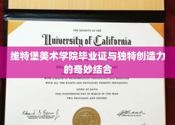 维特堡美术学院毕业证与独特创造力的奇妙结合
