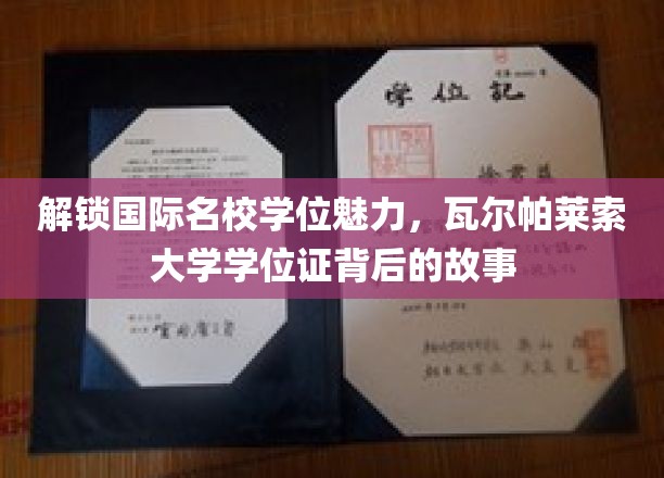 揭秘瓦尔帕莱索大学学位证，国际名校背后的精彩传奇
