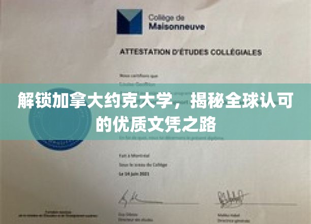 走进约克大学，探索国际认可的卓越学位奥秘