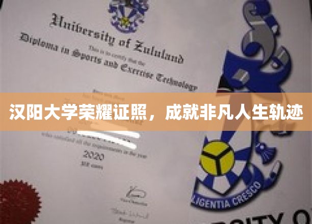 汉阳大学荣耀证照，成就非凡人生轨迹