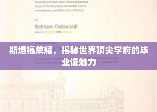 斯坦福荣耀，揭秘世界顶尖学府的毕业证魅力