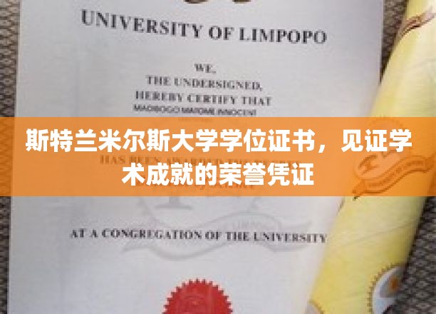 斯特兰米尔斯荣耀凭证，学位证书映照学术巅峰时刻