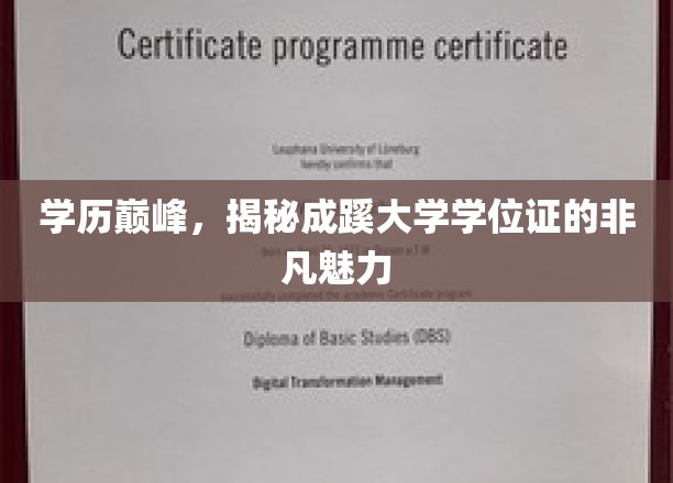 学历巅峰，揭秘成蹊大学学位证的非凡魅力