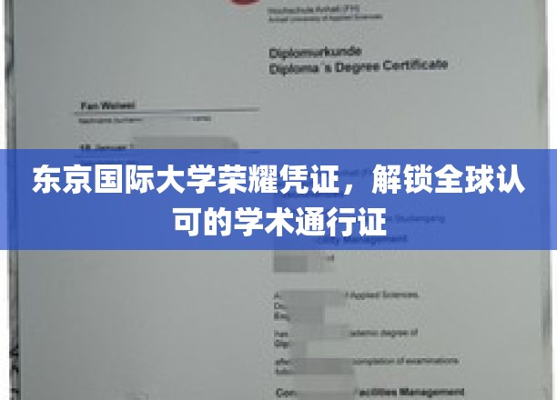 东京国际大学荣耀通行证，开启国际学术新篇章