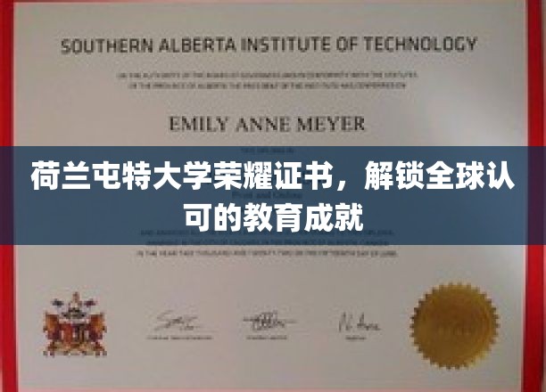 跨国荣誉解锁，荷兰屯特大学证书闪耀全球教育舞台