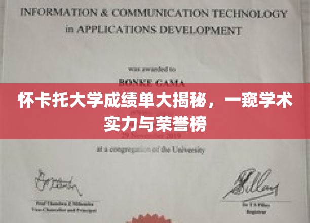 怀卡托大学成绩单大揭秘，一窥学术实力与荣誉榜