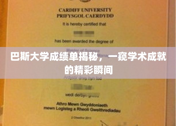 巴斯大学成绩单揭秘，一窥学术成就的精彩瞬间