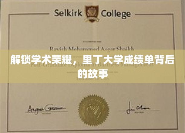 探寻里丁大学成绩单背后的学术传奇