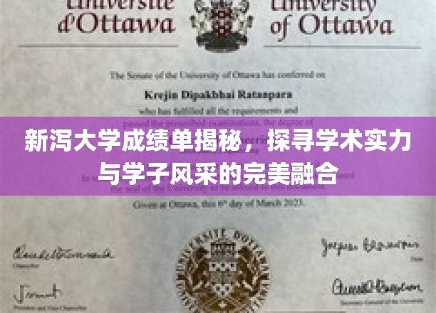 新泻大学学子风采大揭秘，探寻学术实力背后的璀璨之光