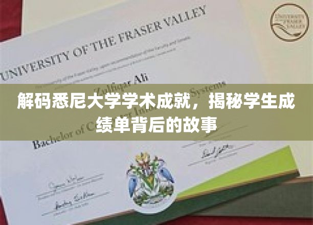 解码悉尼大学学术成就，揭秘学生成绩单背后的故事