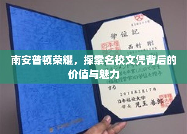 南安普顿荣耀，探寻名校文凭背后的价值与魅力