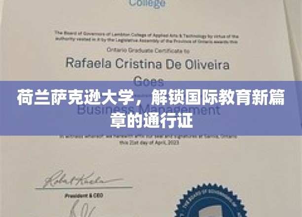 跨国视野的钥匙，荷兰萨克逊大学引领教育国际化潮流