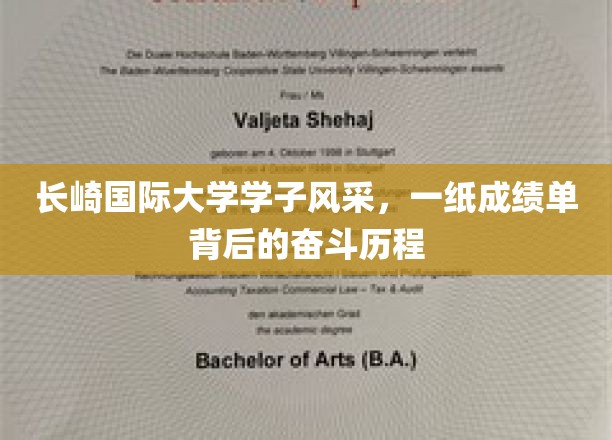 长崎国际大学精英之路，揭开成绩单背后的奋斗篇章