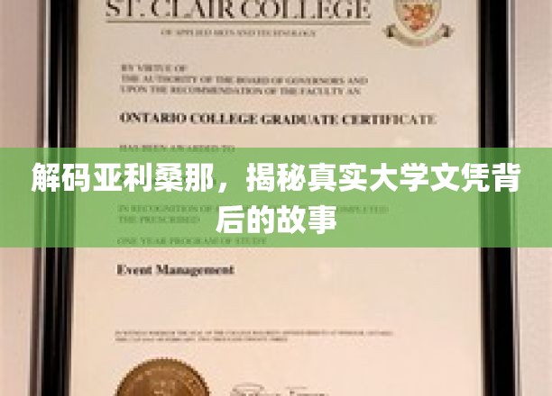 探秘亚利桑那，揭秘学历背后的真实面貌