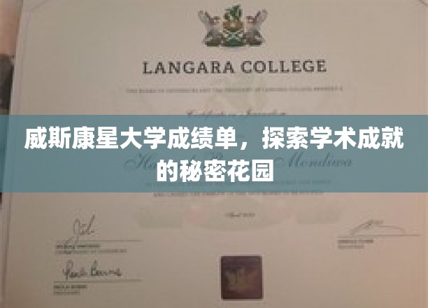 威斯康星大学成绩单揭秘，探寻学术精英的成长轨迹