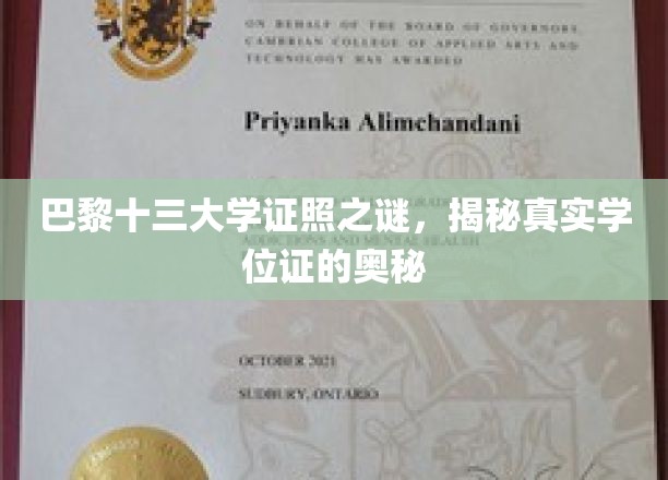 巴黎十三大学证照之谜，揭秘真实学位证的奥秘