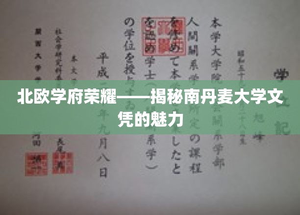 北欧学府荣耀——揭秘南丹麦大学文凭的魅力