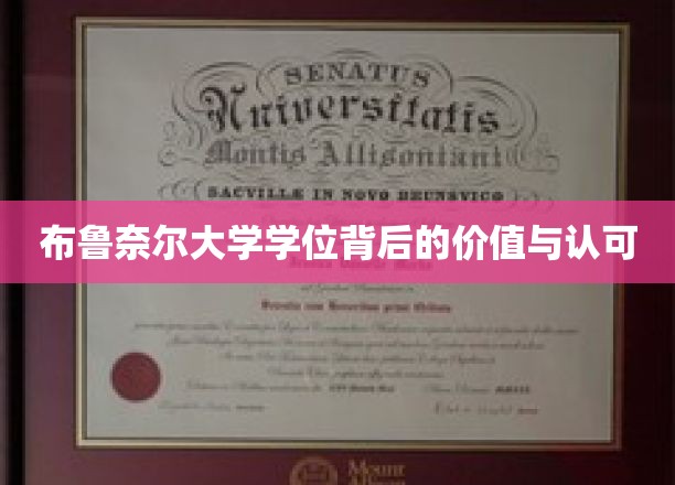 解锁布鲁奈尔学位的全球价值与广泛认可