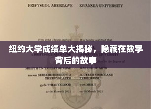 纽约大学成绩单大揭秘，隐藏在数字背后的故事
