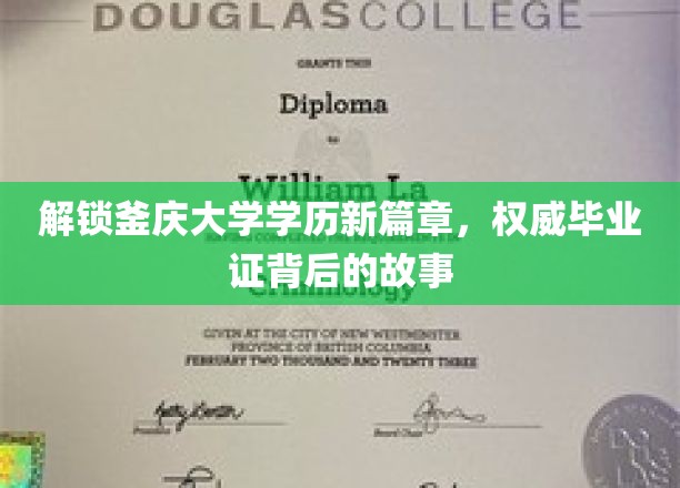 釜庆大学学历新视界，探寻权威毕业证背后的传奇历程