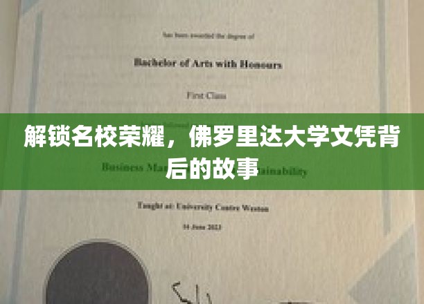解锁名校荣耀，佛罗里达大学文凭背后的故事