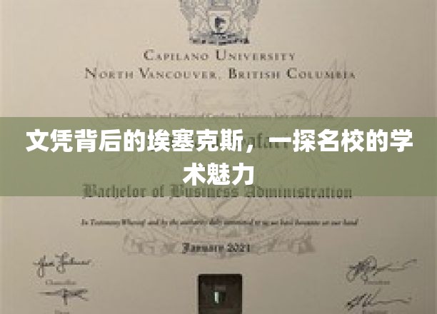探寻埃塞克斯大学，文凭背后隐藏的学术风采