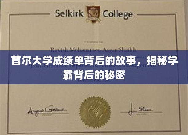 首尔学霸养成记，揭开成绩单背后的神秘面纱
