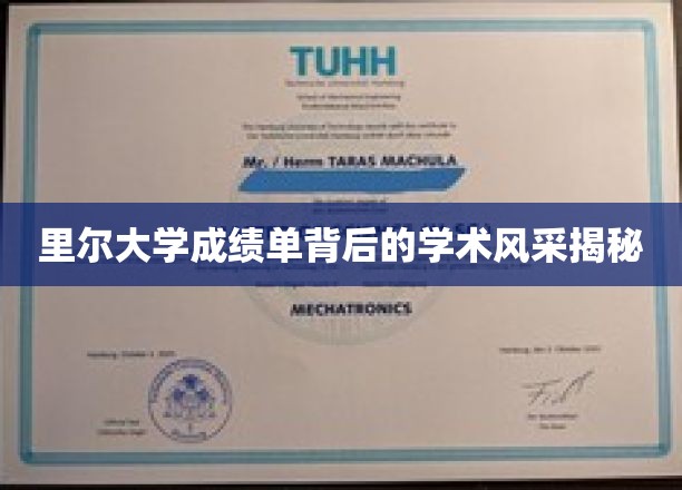 里尔大学成绩单背后，探寻隐藏的学术魅力之光