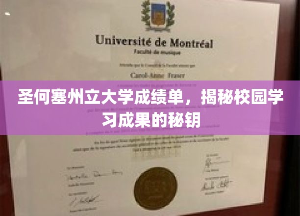 圣何塞州立大学成绩单，揭秘校园学习成果的秘钥